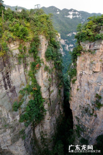 为什么天门山适合翼装飞行?