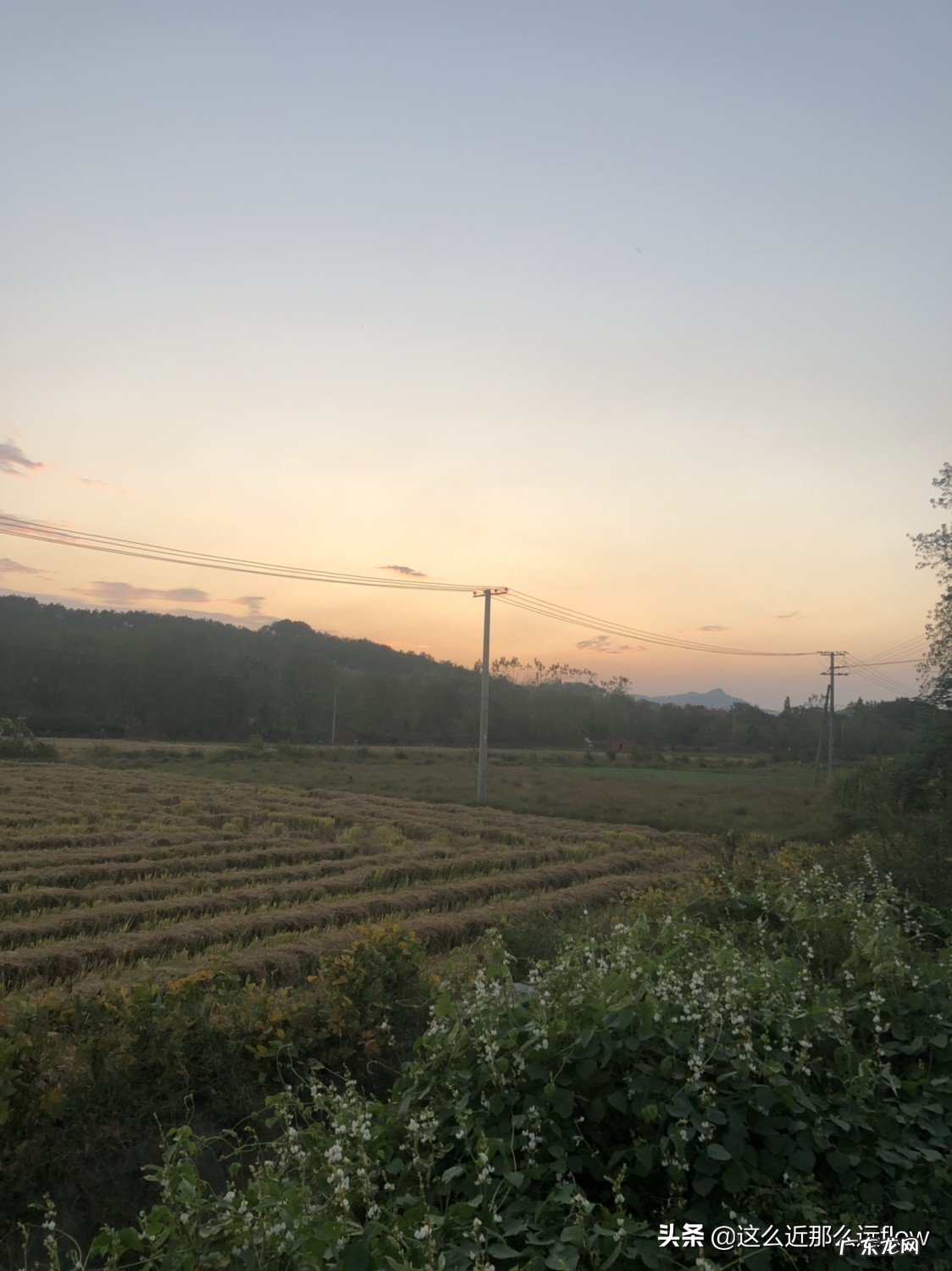 你认为哪个省最重视教育?