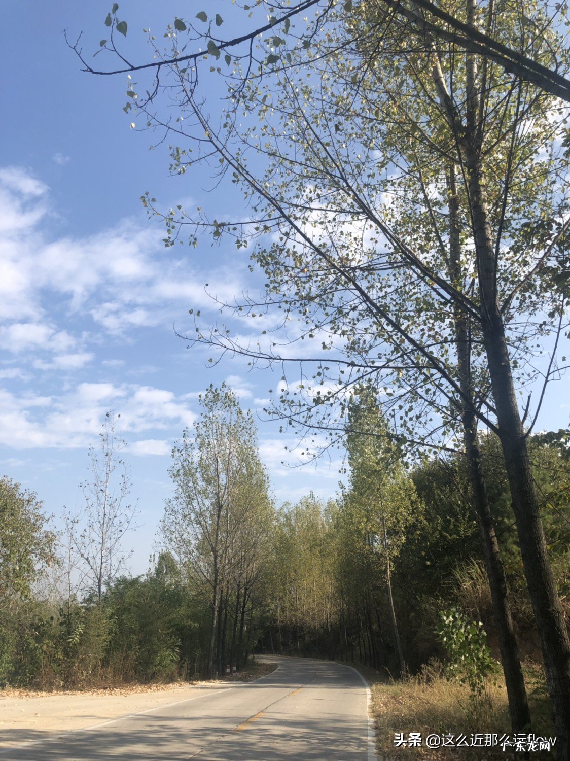 你认为哪个省最重视教育?