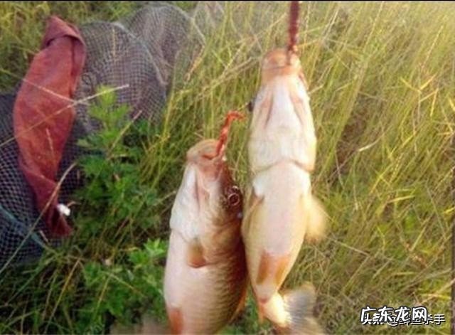 下雨天可以去野钓吗？