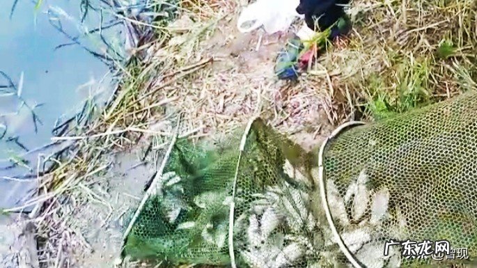 下雨天可以去野钓吗?