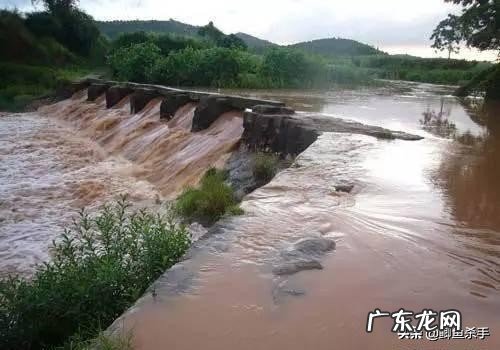 下雨天可以去野钓吗？