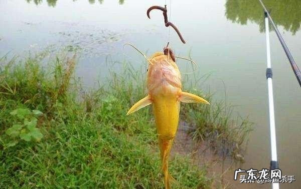 下雨天可以去野钓吗?