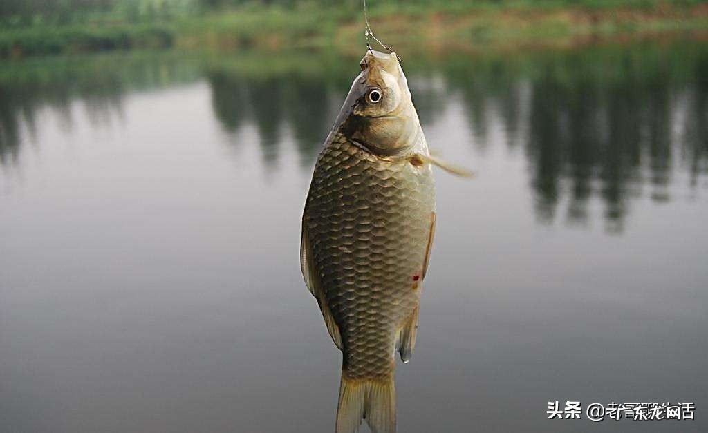下雨天可以去野钓吗?