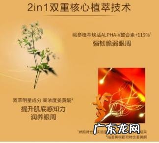 娇韵诗双萃眼霜价格 娇韵诗双萃眼霜好吗