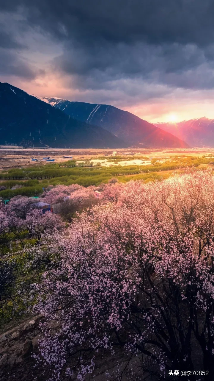 人是因为宽容变得更有爱还是因为爱才变得宽容?