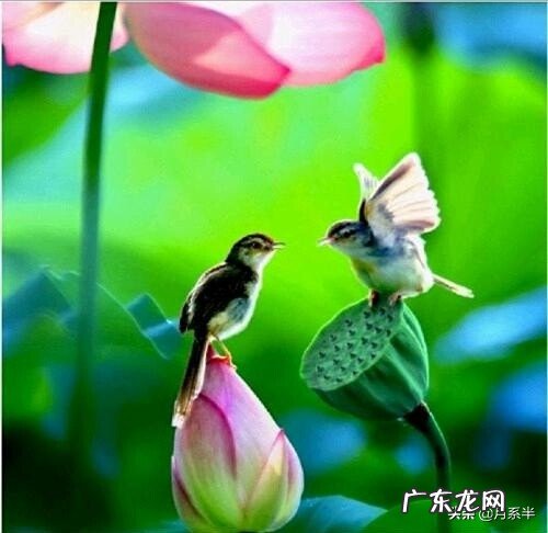 人是因为宽容变得更有爱还是因为爱才变得宽容?