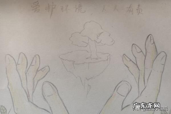 保护花草树木手抄报？