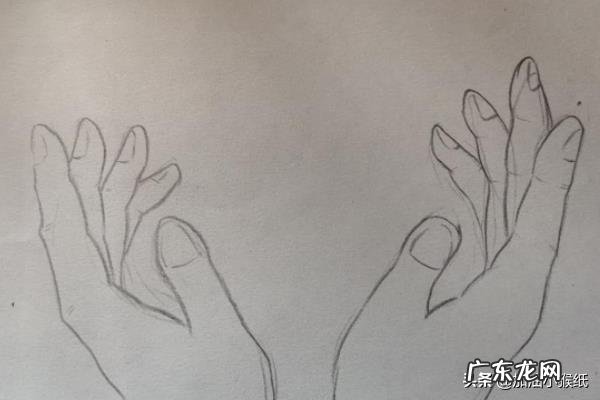 保护花草树木手抄报？