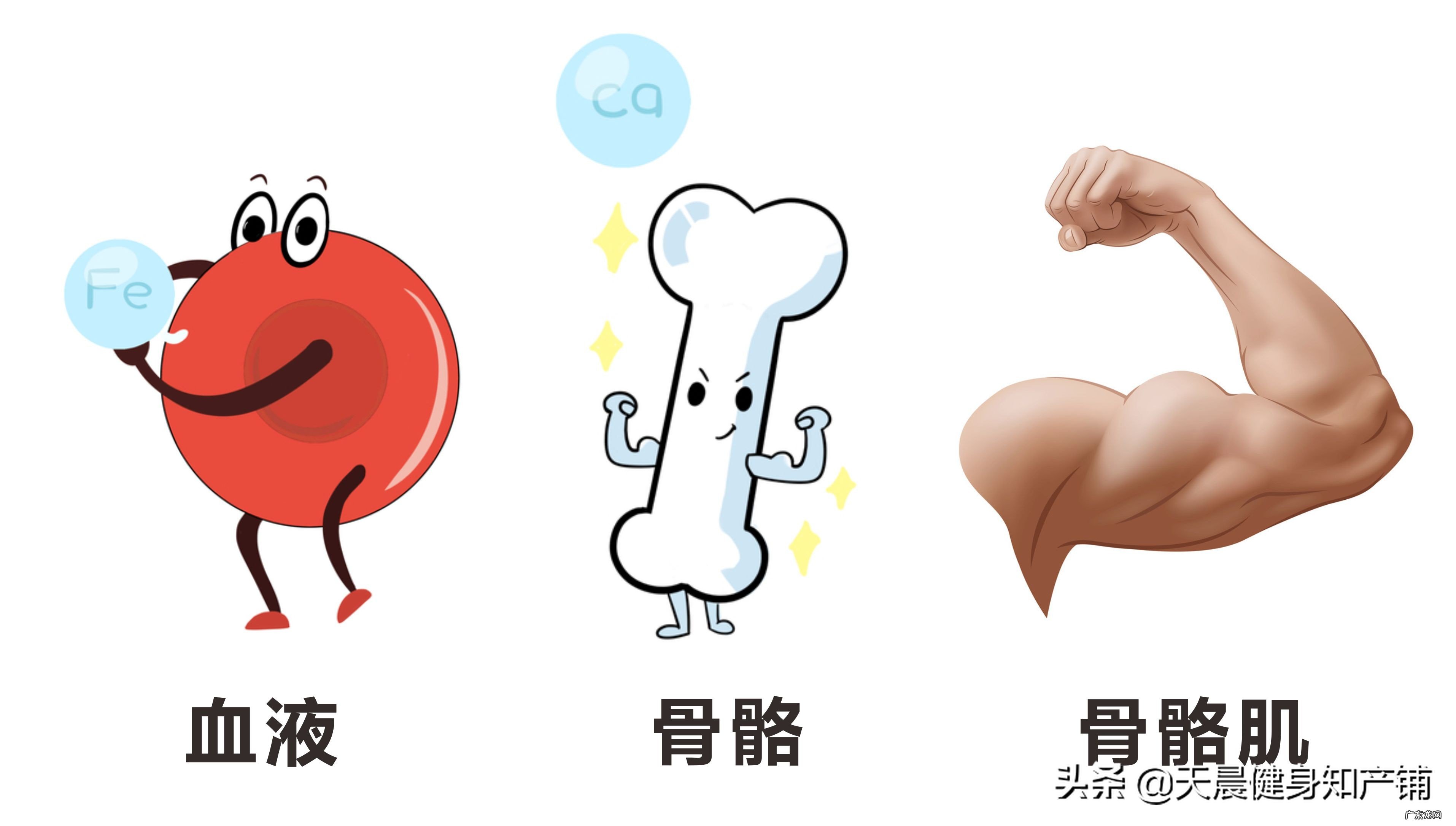 健身包括哪些方面?为什么有人认为只有健身房里面的健身才是健身?