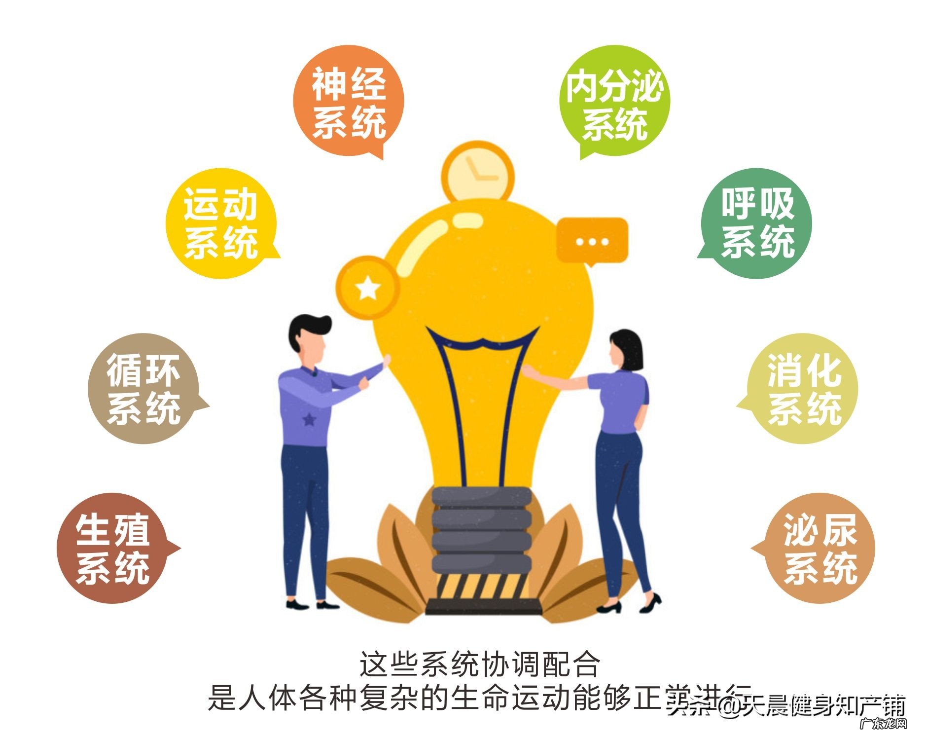 健身包括哪些方面?为什么有人认为只有健身房里面的健身才是健身?