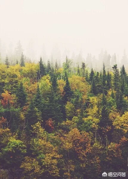 上联:时光好,庭院深深看花雨,踏青去。怎么对下联?