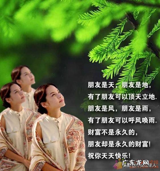 你觉得什么是朋友，朋友的含义是什么？