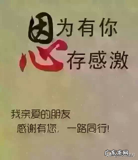 你觉得什么是朋友，朋友的含义是什么？