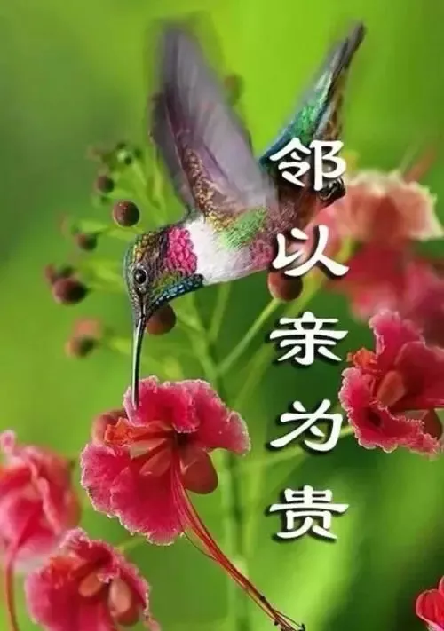 一生嫉恶如仇的生肖有哪些？