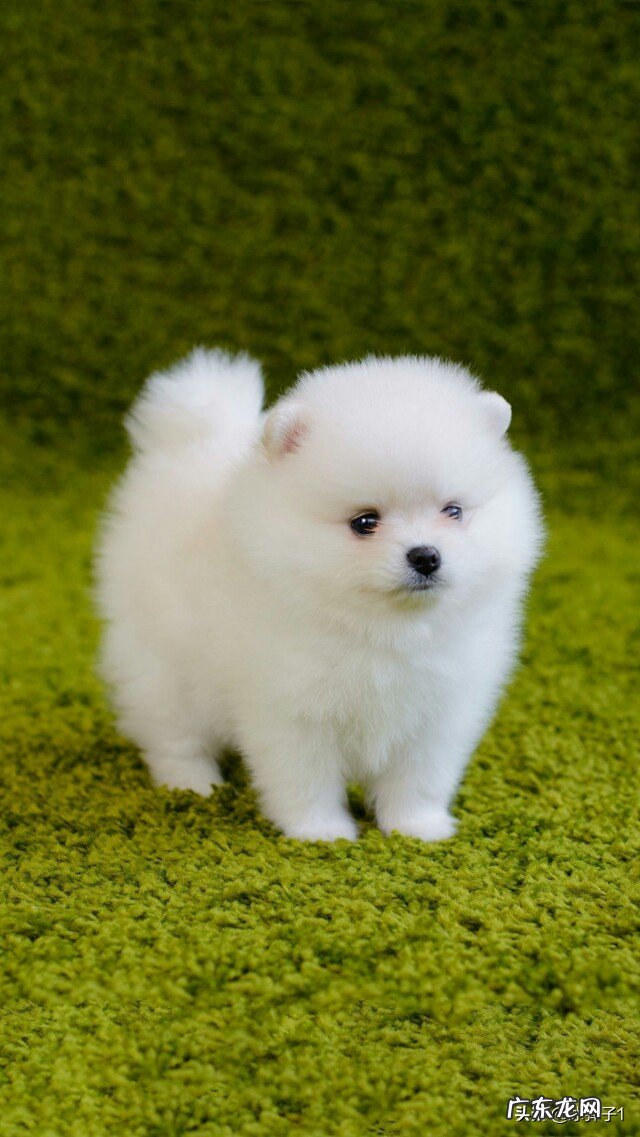 “等我有钱了”造句,看谁的经典?