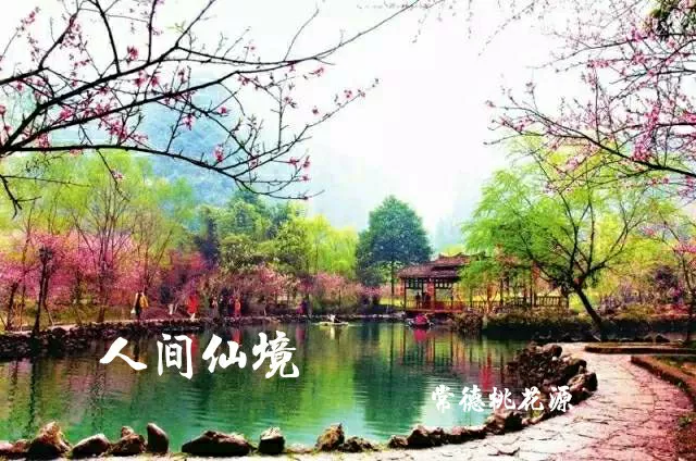 你最喜欢湖南省哪个城市,为什么喜欢?