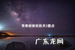 苹果树修剪时间和方法 苹果树修剪注意事项