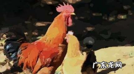 属鸡男吃醋表现 属鸡男吃醋表现出什么