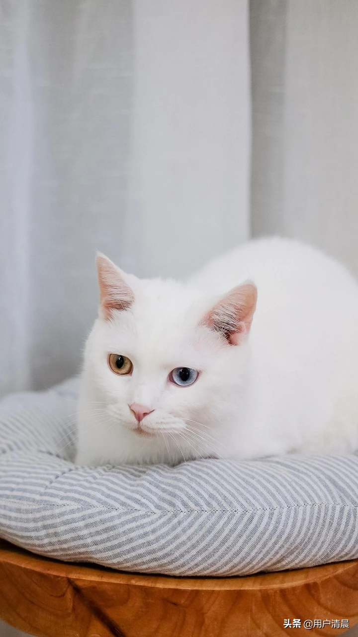 关于冬天的成语有哪些？