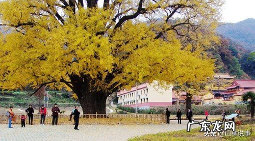 出去一日游要准备什么?