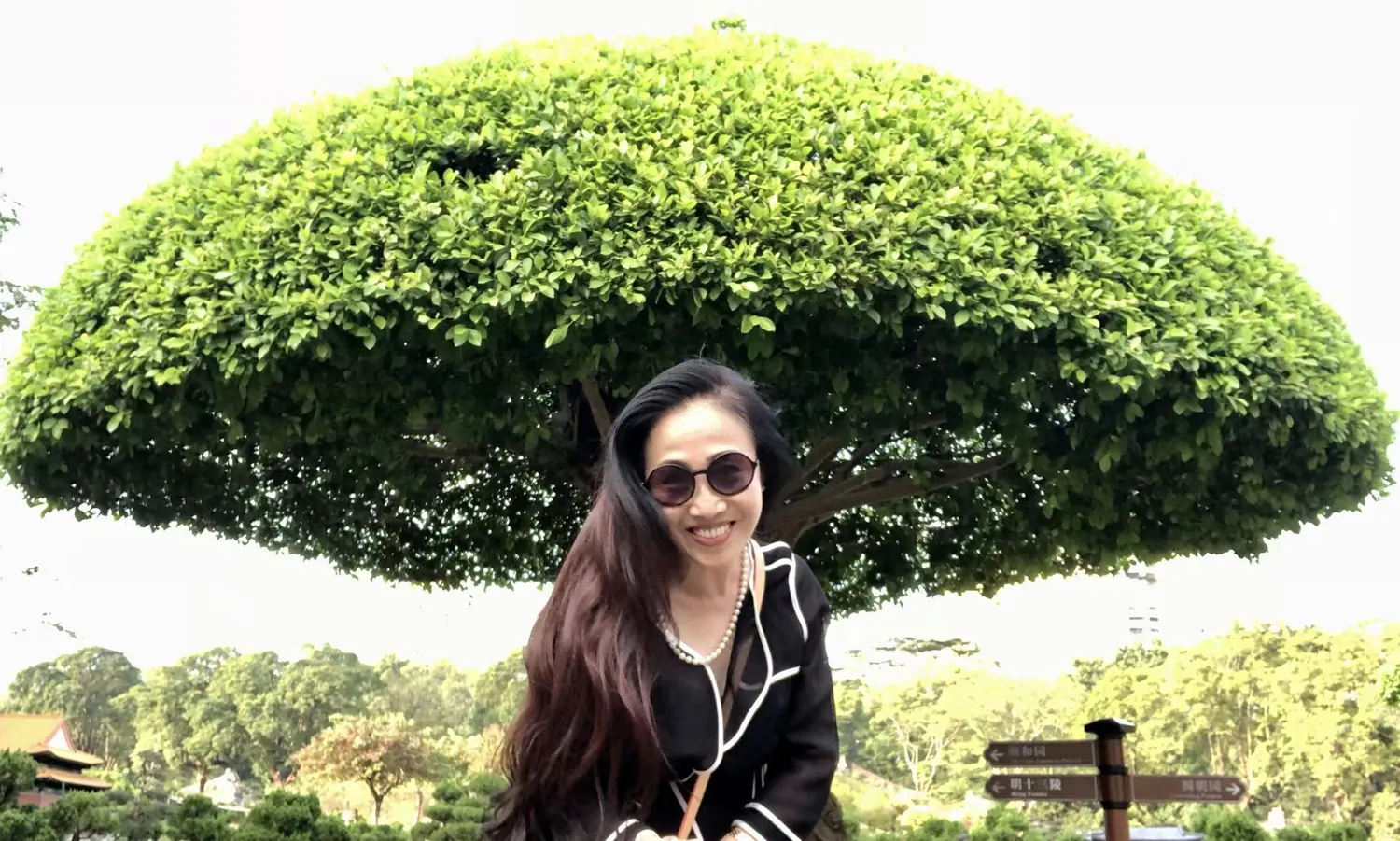 你认为独居生活有哪些好处?