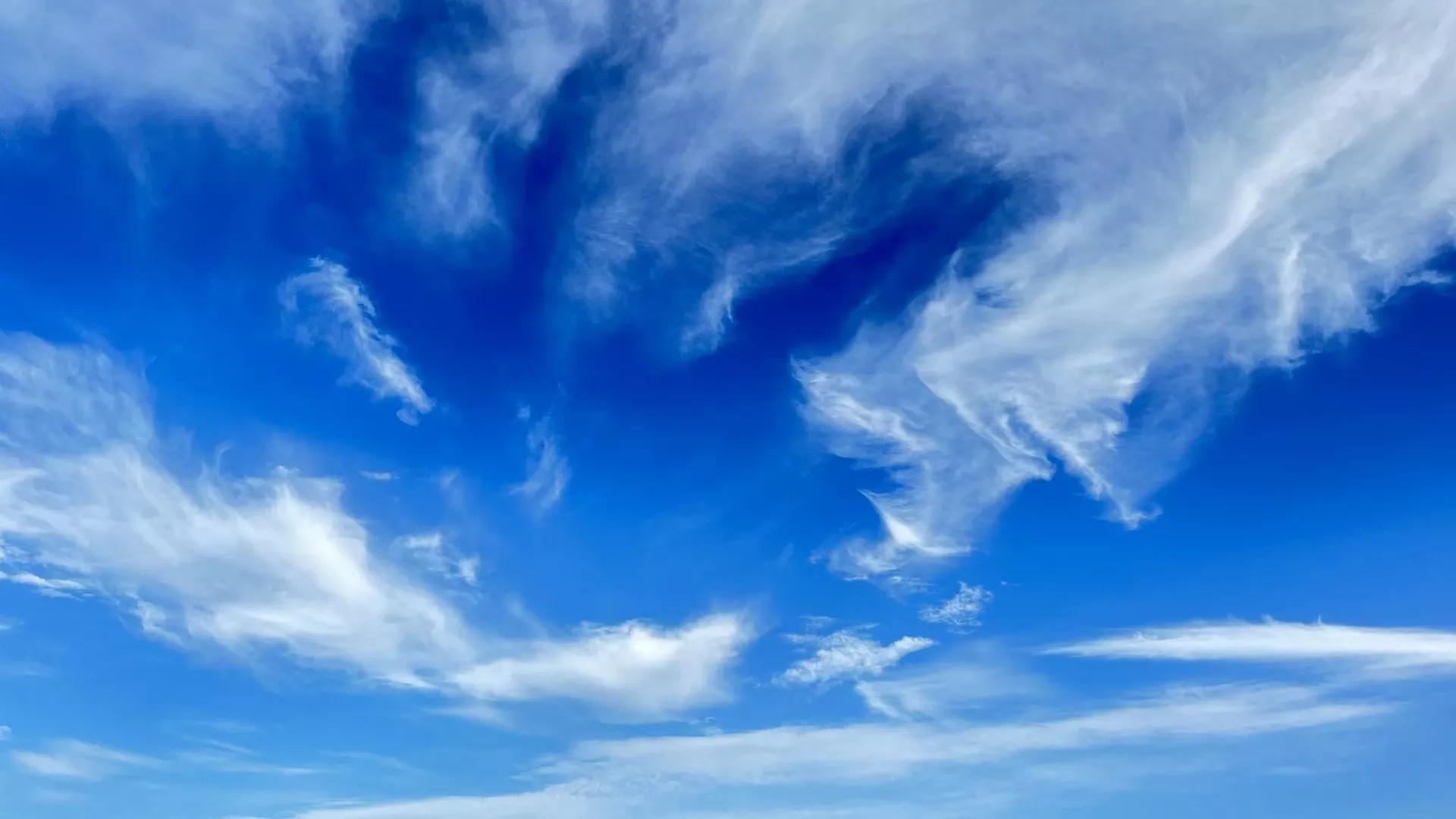 你认为独居生活有哪些好处?