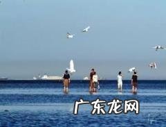 北戴河在哪里,秦皇岛市“北戴河区”概况