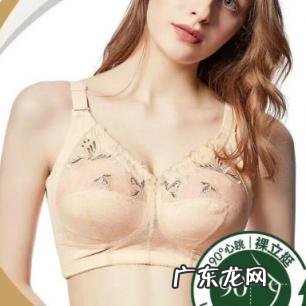 爱莱美内衣公司简介 爱美莱内衣怎么样?