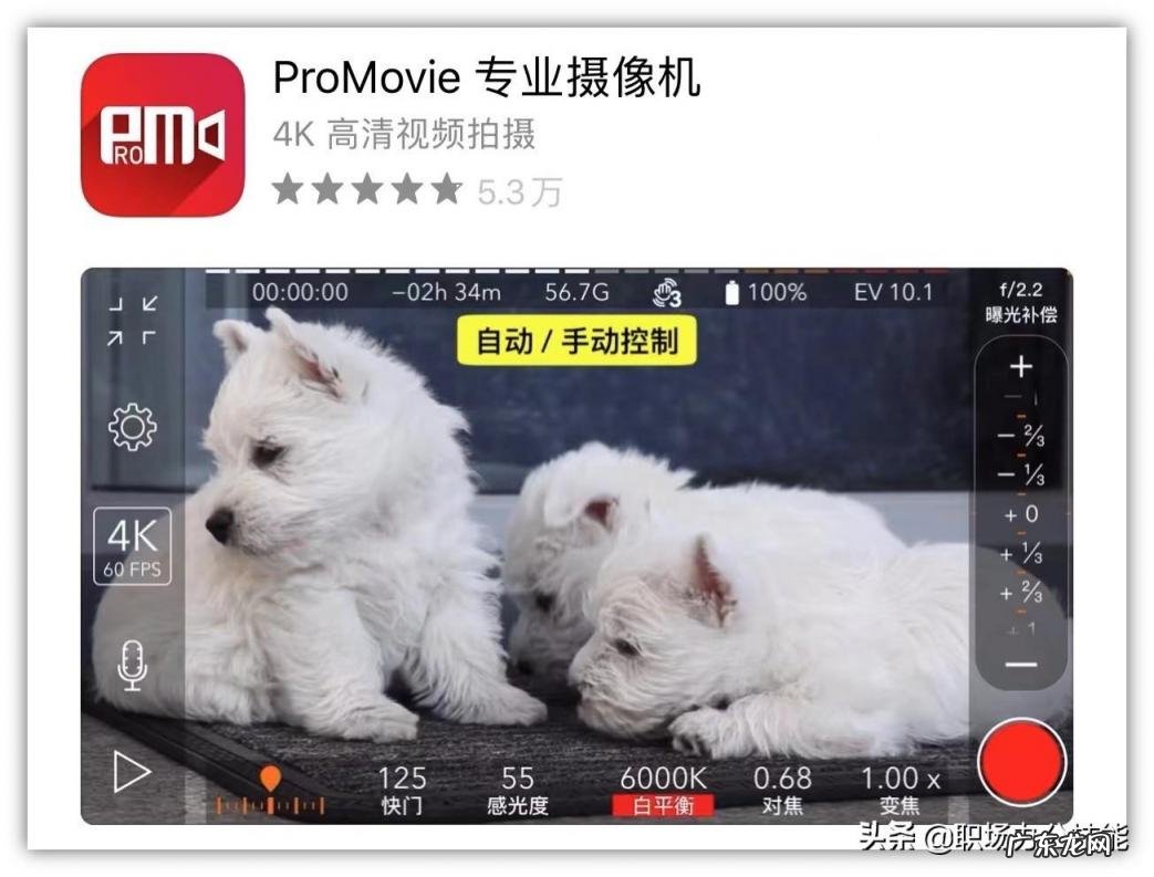 什么软件拍照美颜效果好又真实 哪个美颜相机软件好用点