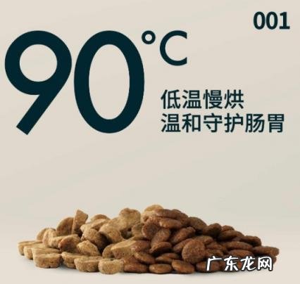 猫粮味道怎么样 猫粮好一点的