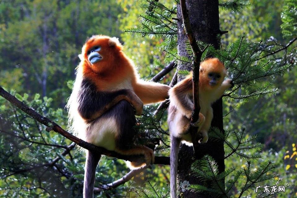 中国禁地有哪些?恐怖事件呢,中国十大禁地都有哪些