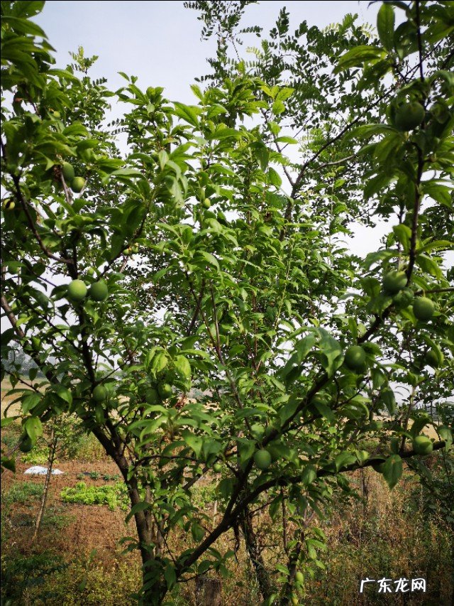 刘希娅代表建议:将寒暑假改为春夏秋冬四个假期,你怎么看?