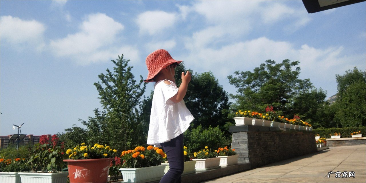 刘希娅代表建议:将寒暑假改为春夏秋冬四个假期,你怎么看?