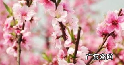 孽缘为什么会相互吸引 遇上孽缘的几大特征