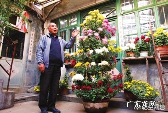 为什么有些中国老年人爱种花种草种菜?