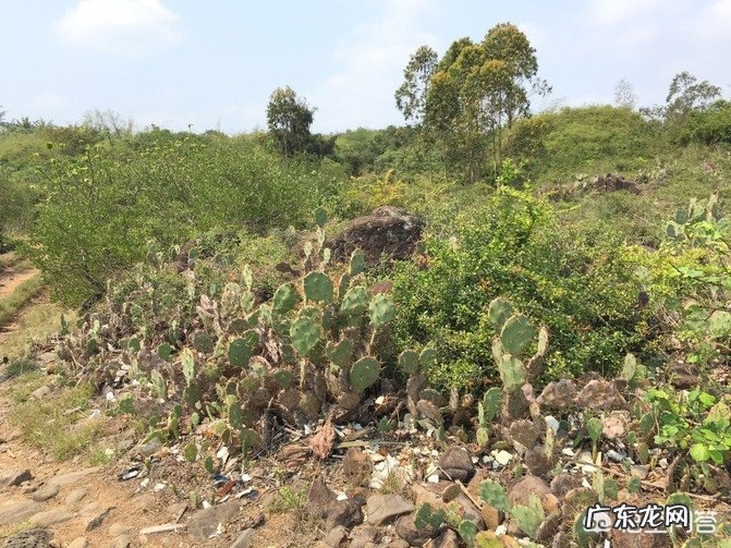 五一放假4天!你们准备去哪里玩?