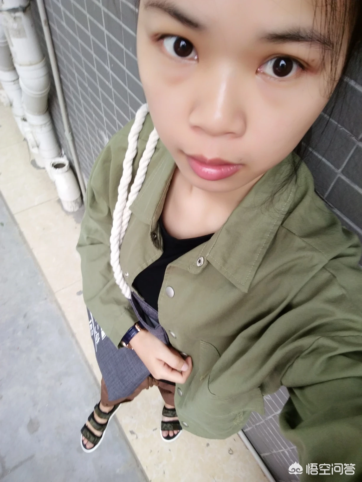 养边牧好还是养哈士奇好?