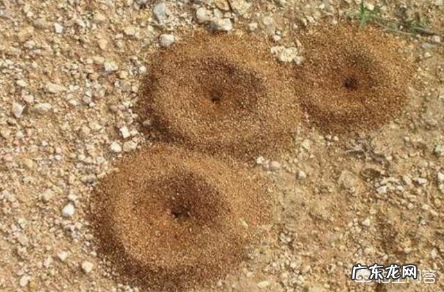 你过年用擦炮干过哪些荒唐事?