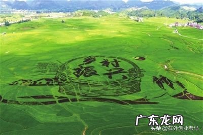 人们为什么大多害怕死亡?你研究过死亡吗?