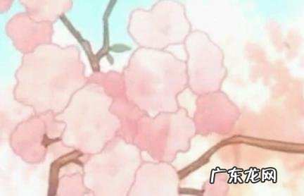 容易涨粉的个人介绍 容易涨粉的个人介绍女生