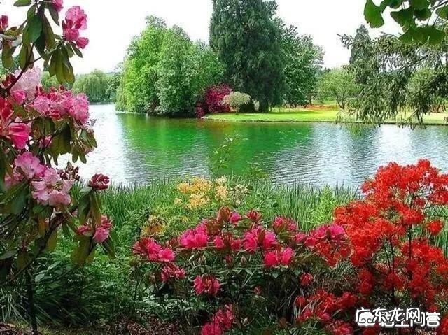 你身边优秀的人有哪些特质?