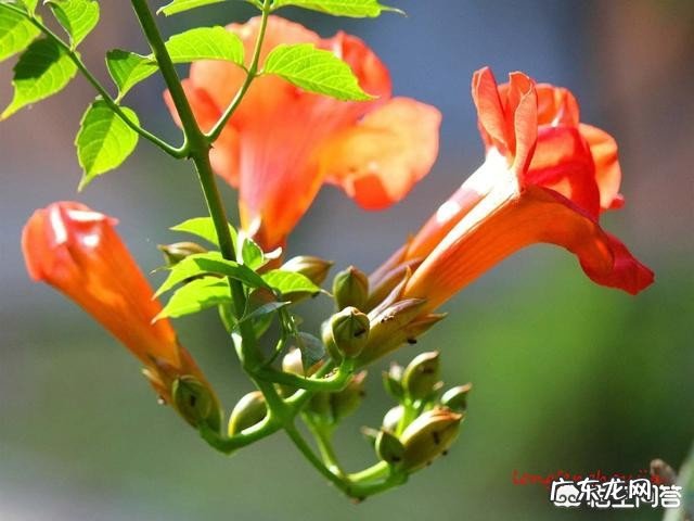 你身边优秀的人有哪些特质?