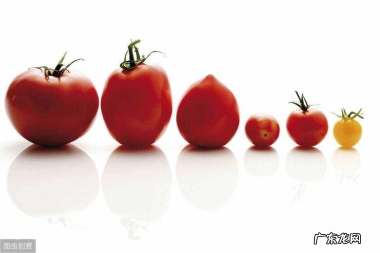 酸性氨基酸为什么带负电荷,酸性氨基酸包括哪些