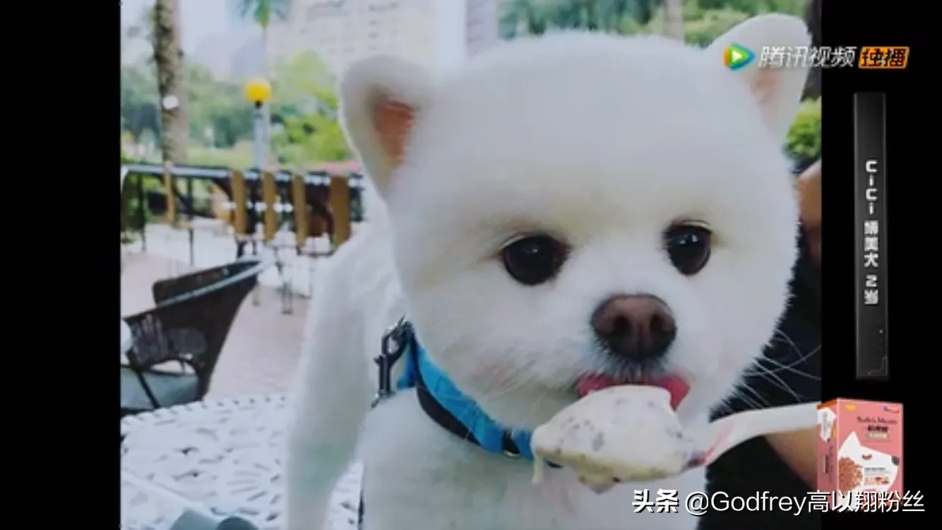 十佳演技实力派影视明星评选投票,你会投给谁?理由是什么?