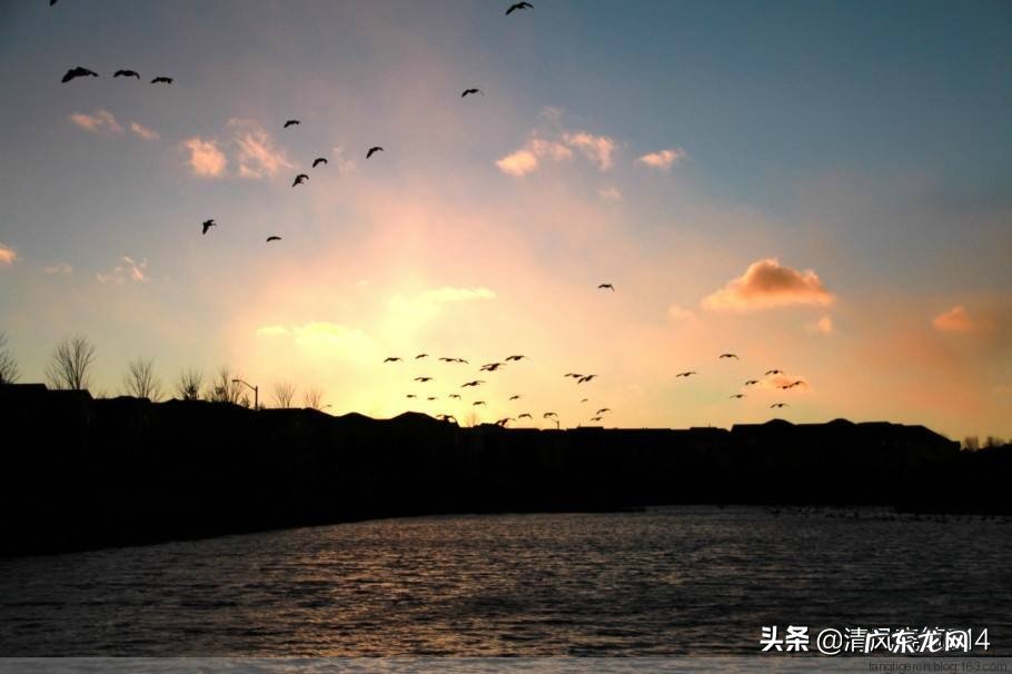 兄弟姐妹之间反目成仇,跟父母的直接关系大吗?