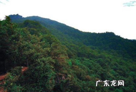 历史上的瓦岗山在哪里？