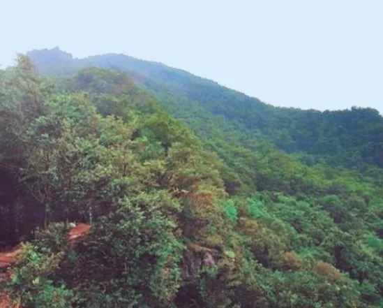 历史上的瓦岗山在哪里？