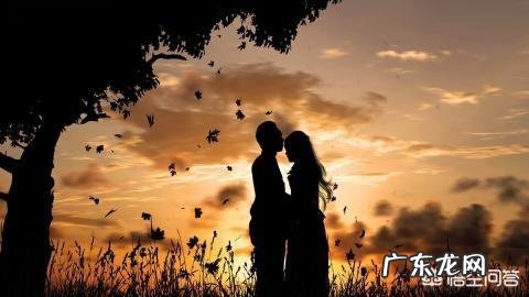 你有哪些情话可以分享?