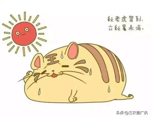 农村老人说:立秋之后会有十八只秋老虎,为啥是十八只呢?今年有秋老虎吗?